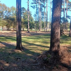 Julien Marx Dog Park - More open dog park and some benches