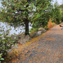 Acadia Ebike Adventure