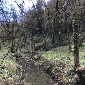 Tryon Creek State Park - Parks Near Me - Portland, Oregon Tryon Creek State Park - Parks Near Me - Portland, Oregon