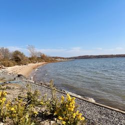 Brick Cove