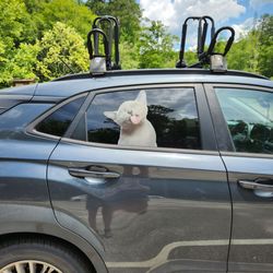 Pocahontas State Park - I asked this lady if I could take a picture of her car! So funny!!!!