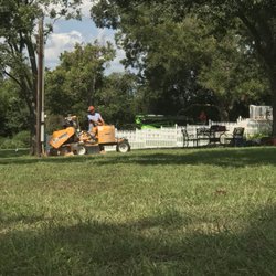 Wall Tree Service - Stump grinding