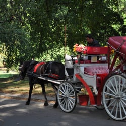 Gotham City Tours - Free 45min Horse and Carriage ride with purchase of photo shoot.