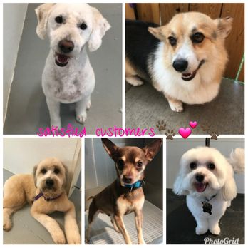 The Woofhaus - Woofhaus Wash and Grooming Services *WoOf* - Pet Groomers Near Me - Denver, Colorado