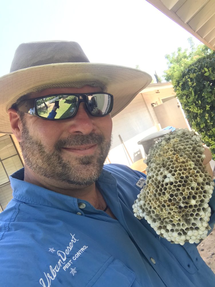 URBAN DESERT PEST CONTROL 416 Photos & 657 Reviews 5020 W Yearling