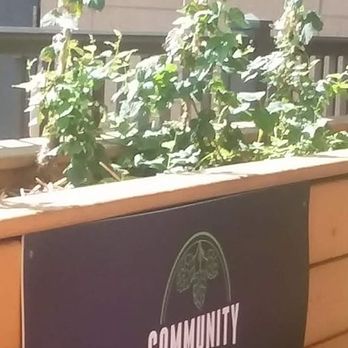 Venn Brewing - hops growing outside the patio!! - Breweries Near Me - Minneapolis, Minnesota