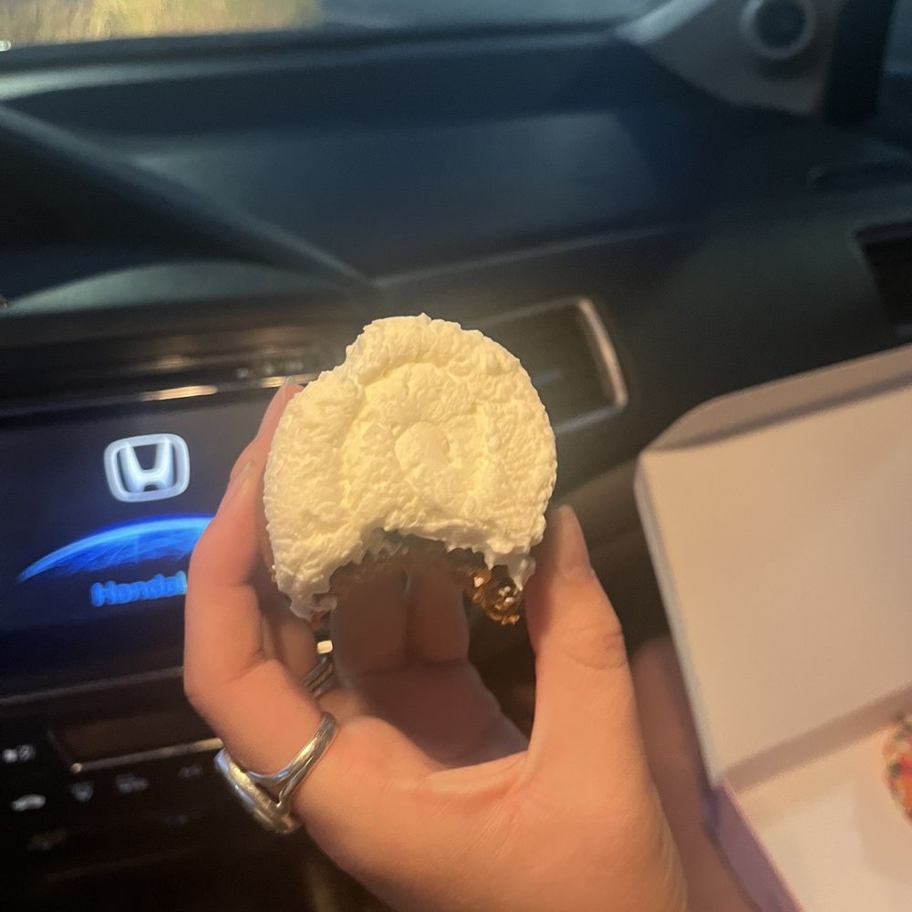 no chocolate chips on cookie no chocolate chips on cookie