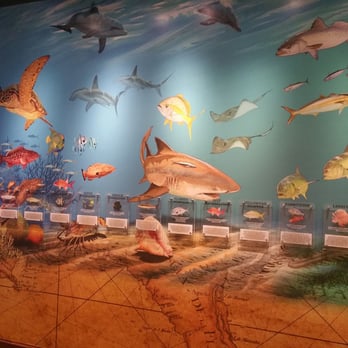 RumFish Grill - Hallway leading to "under/inside the large tank". - Seafood Near Me - St Pete Beach, Florida