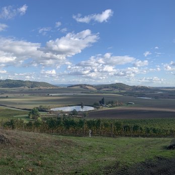 Van Duzer Vineyards - View leaving the winery - Wineries Near Me - Dallas, Oregon