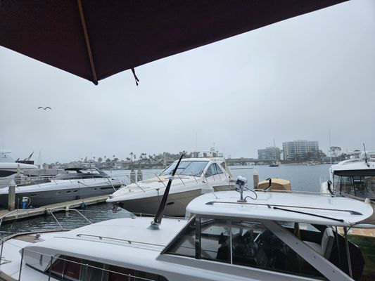 Rusty Pelican by null