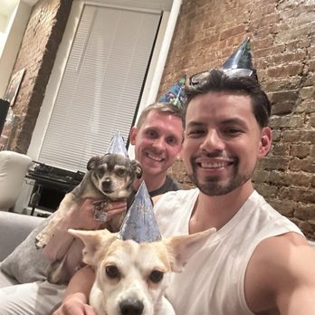 No Dogs Left Behind - Maverick celebrating his second birthday. - Animal Shelters Near Me No Dogs Left Behind - Maverick celebrating his second birthday. - Animal Shelters Near Me