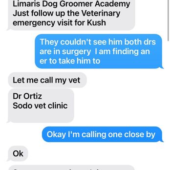 Dog Groomer Academy - Pet Groomers Near Me - Orlando, Florida