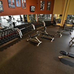 Gold's Gym - Free Weight Area