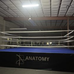 Anatomy Boxing & Fitness