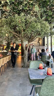 242 Knickerbocker Ave by null