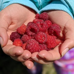 Edenberry Farm