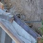 Photo of Rincon Pool Design