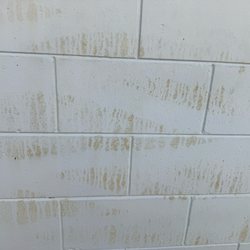 Missed places from pressure washing a couple of back walls from where my old sprinkler system was hitting.