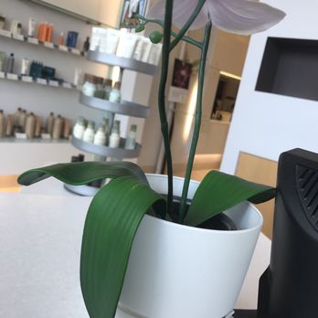 Framar Salon - Hair Salons Near Me - Richmond Hill, Ontario Framar Salon - Hair Salons Near Me - Richmond Hill, Ontario
