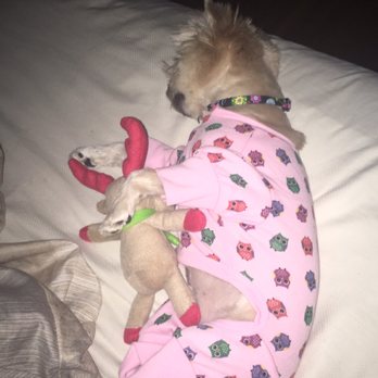 Ruff House Rescue - Pet Adoption Near Me