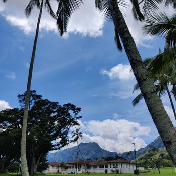 Windward Community College - Natural beauty - Colleges & Universities Near Me - Kaneohe, Hawaii Windward Community College - Natural beauty - Colleges & Universities Near Me - Kaneohe, Hawaii