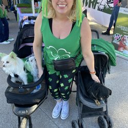 St. Patrick's Day Festival - The dogs & I!