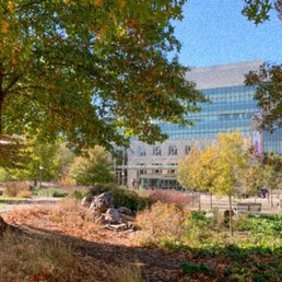 Beautiful Duke Medicine Circle Beautiful Duke Medicine Circle