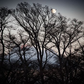 Old River Road RV Resort - Moon over the RV Park. - RV Parks Near Me - Kerrville, Texas Old River Road RV Resort - Moon over the RV Park. - RV Parks Near Me - Kerrville, Texas