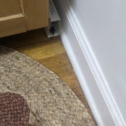 This cockroach actually got caught on a mouse trap. Restaurant grade pests  This was beside the kitchen sink in a tiny studio apartment.