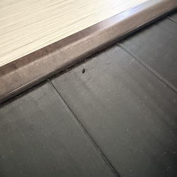 Beachview Rentals - Rat dropping in kitchen - Property Management Near Me - Newport Beach, California Beachview Rentals - Rat dropping in kitchen - Property Management Near Me - Newport Beach, California