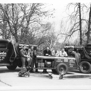 Fowler Tree Surgery - Firewood Near Me - Elgin, Illinois
