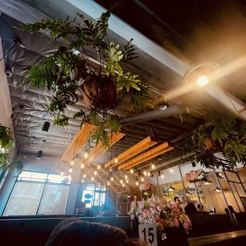 Pho 101 - Vibes - Vietnamese Near Me - Westminster, California Pho 101 - Vibes - Vietnamese Near Me - Westminster, California
