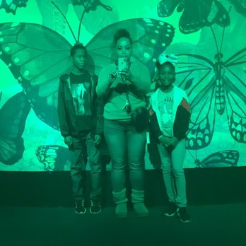 Pacific Science Center - Museums Near Me - Seattle, Washington Pacific Science Center - Museums Near Me - Seattle, Washington