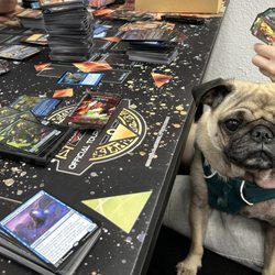 A Hidden Fortress - Lots of space to pull cards and hang out