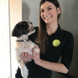 phClean - House cleaning in Ankeny free consultations great customer service