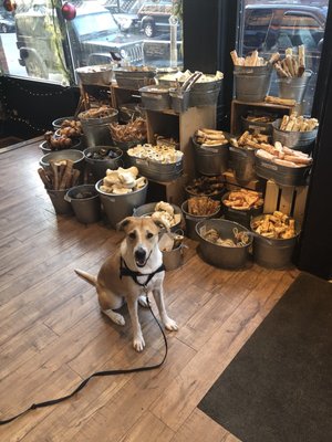 Polkadog Bakery by null