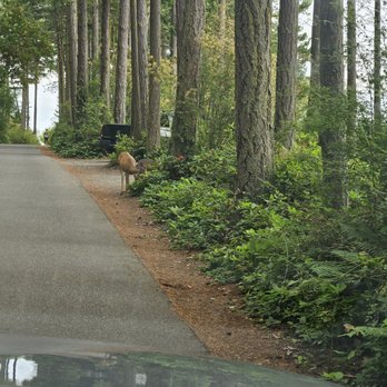 Washington Park - Parks Near Me - Anacortes, Washington