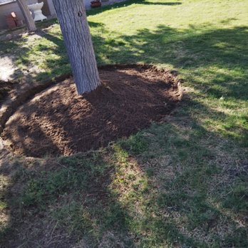 Desert Lawn Care - Lawn Services Near Me - Anthony, New Mexico Desert Lawn Care - Lawn Services Near Me - Anthony, New Mexico