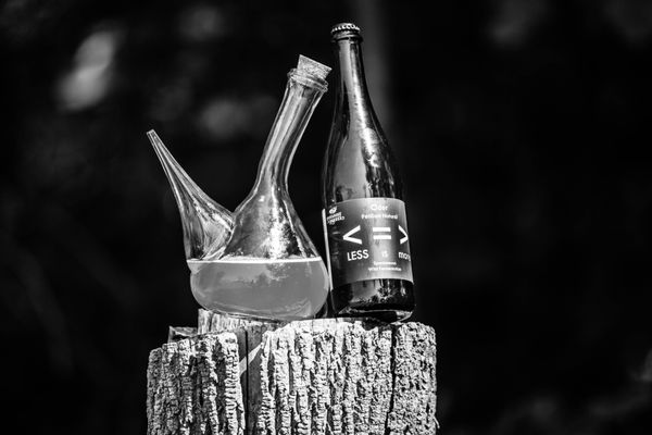 Botanist and Barrel by null