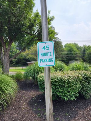 The Purple Elephant by null