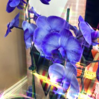 LV Nails - Nail Salons Near Me - Eustis, Florida