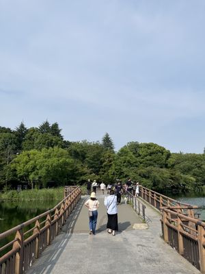 Inokashira Park by null