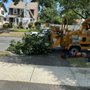 Photo of Len's Tree Service