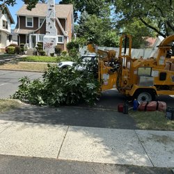 Len's Tree Service - Clean up