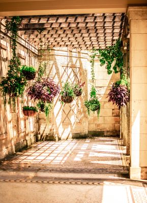 Untermyer Gardens by null