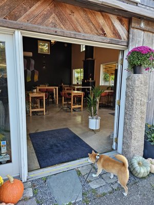 Modestman Brewing by null