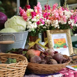 Flow Kana - @ the Healing Harvest Market in the Emerald Triangle
