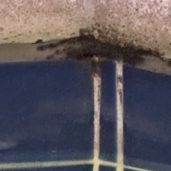 Aqua Day Spa - Moldy ick - Massage Near Me - San Diego, California