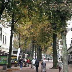 Radau Grill - Der Radau Grill liegt am oberen Ende der Bummel-Kastanien-Allee-Meile Bad Harzburgs.