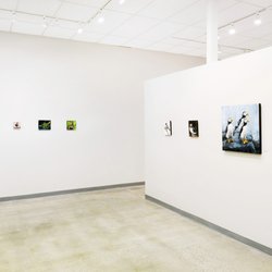 Moss Galleries - Morgan Cameron: Fur & Feathers